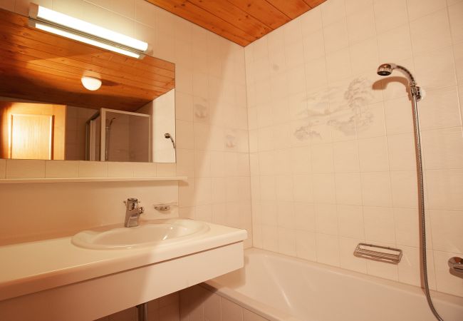 Appartement in Gaschurn - Edelweiss | 1108 Appartement in Gaschurn - Edelweiss | 1108