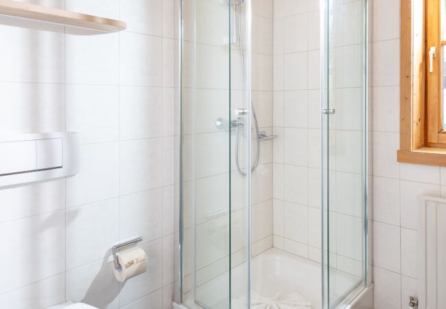 Appartement in Wald am Arlberg - Apartment Matri 4 am Arlberg | 9904 Appartement in Wald am Arlberg - Apartment Matri 4 am Arlberg | 9904
