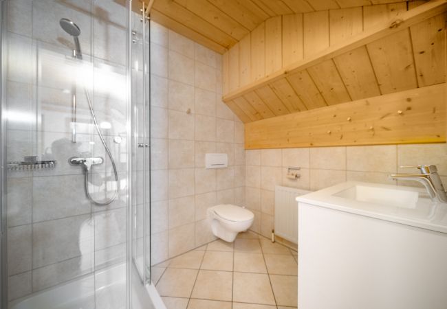 Appartement in Wald am Arlberg -  Apartment Matri 6 am Arlberg | 9906 Appartement in Wald am Arlberg -  Apartment Matri 6 am Arlberg | 9906