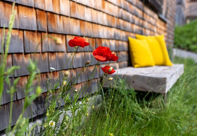 Appartement in St. Gallenkirch - Kollin Chalet-Apartment mit Terasse und Garten |3EG | 47031 Appartement in St. Gallenkirch - Kollin Chalet-Apartment mit Terasse und Garten |3EG | 47031