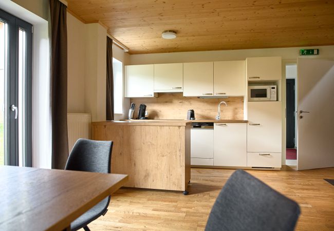 Chalet in St. Gallenkirch - Apartment, St. Gallenkirch, Montafon, skiën Chalet in St. Gallenkirch - Apartment, St. Gallenkirch, Montafon, skiën