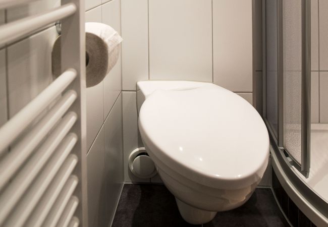 Badkamer Beatrix Alpenhaus Montafon Badkamer met toilet in het Beatrix Alpenhaus Montafon