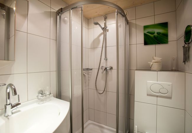 Appartement in Gargellen - Bianca  Appartement in Gargellen - Bianca