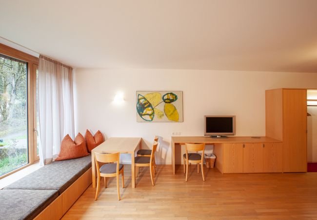 Studio in Gaschurn - Natali`s Studio 53 in Bonawinkel | 1153 Studio in Gaschurn - Natali`s Studio 53 in Bonawinkel | 1153