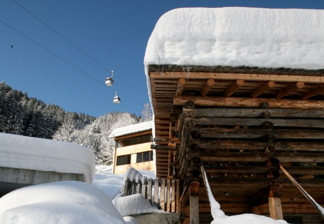 Studio in Gaschurn - Natali`s Studio 53 in Bonawinkel | 1153 Studio in Gaschurn - Natali`s Studio 53 in Bonawinkel | 1153