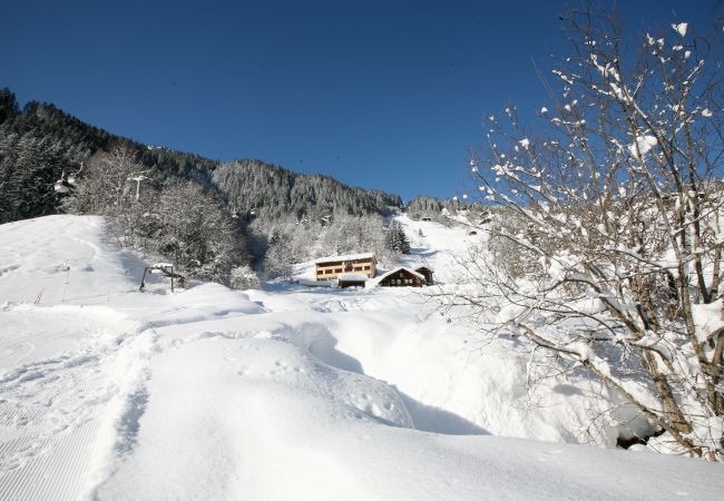 Studio in Gaschurn - Natali`s Studio 53 in Bonawinkel | 1153 Studio in Gaschurn - Natali`s Studio 53 in Bonawinkel | 1153