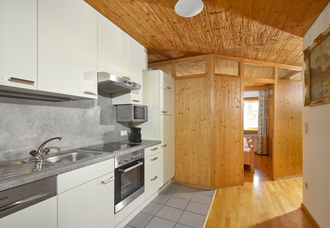 Appartement in Gaschurn - Alt Montafon Appartment 1 | 1301 Appartement in Gaschurn - Alt Montafon Appartment 1 | 1301