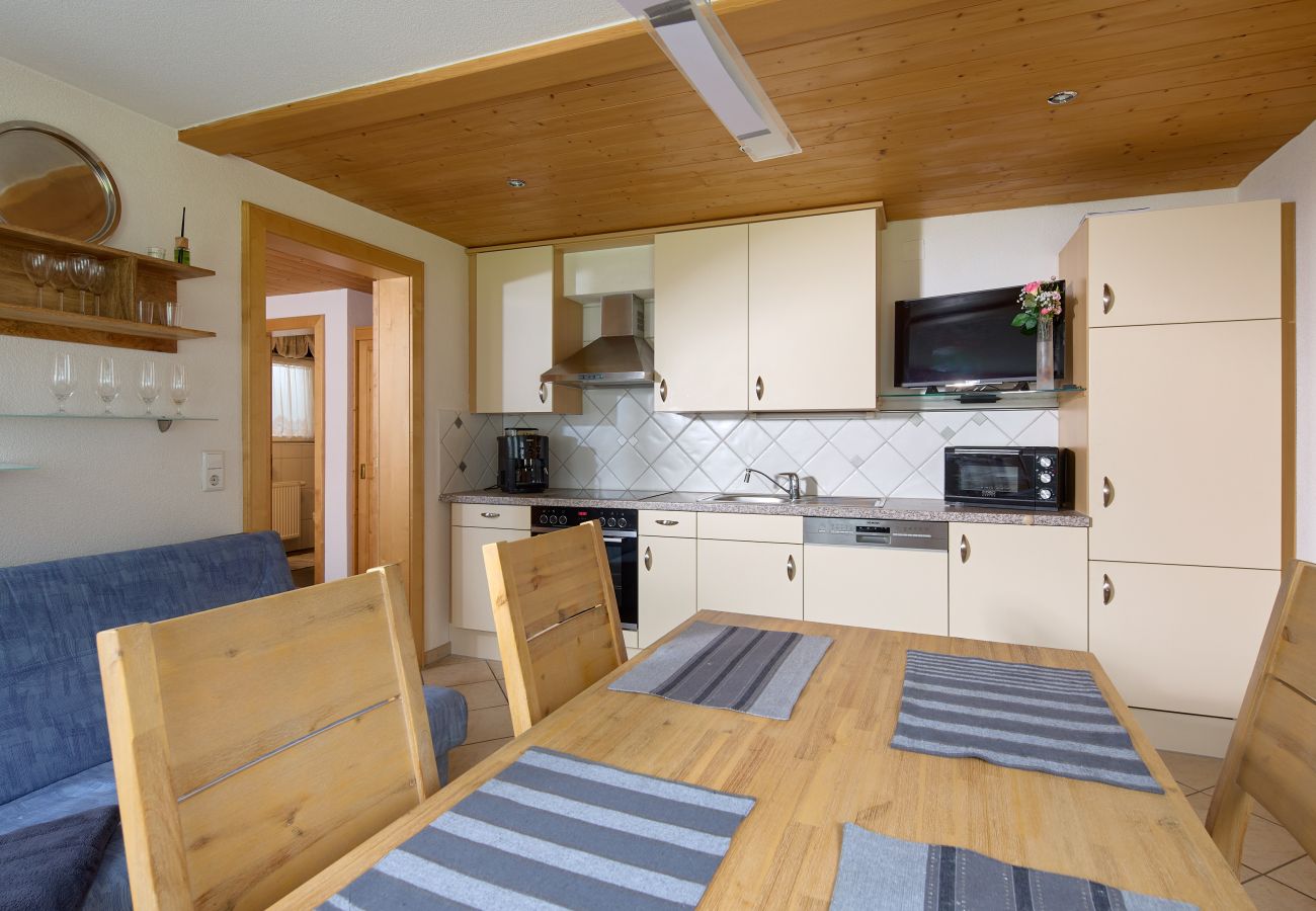 Appartement in St. Gallenkirch - Apartment Gerhard an der Talstation | 4911 Appartement in St. Gallenkirch - Apartment Gerhard an der Talstation | 4911
