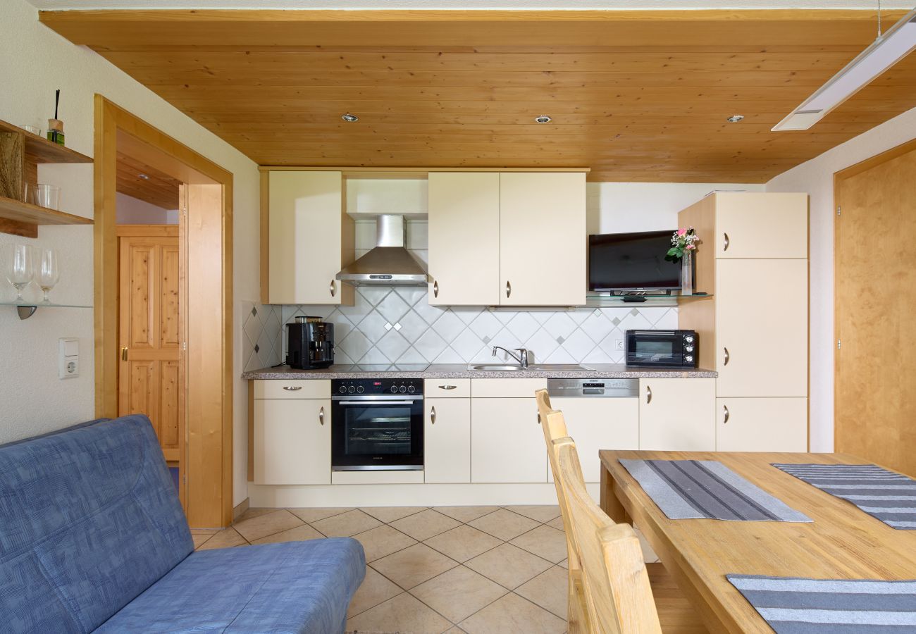 Appartement in St. Gallenkirch - Apartment Gerhard an der Talstation | 4911 Appartement in St. Gallenkirch - Apartment Gerhard an der Talstation | 4911