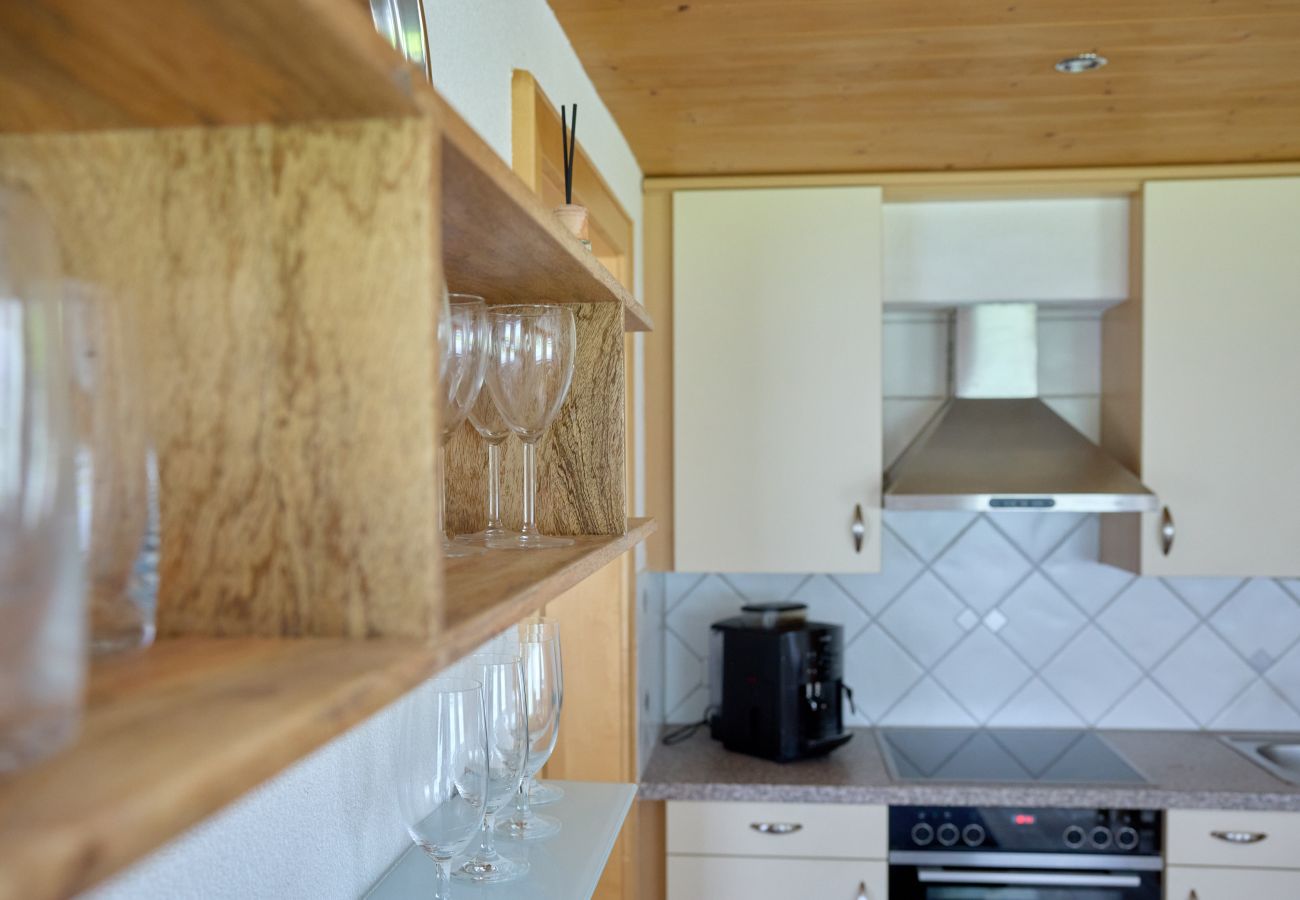 Appartement in St. Gallenkirch - Apartment Gerhard an der Talstation | 4911 Appartement in St. Gallenkirch - Apartment Gerhard an der Talstation | 4911