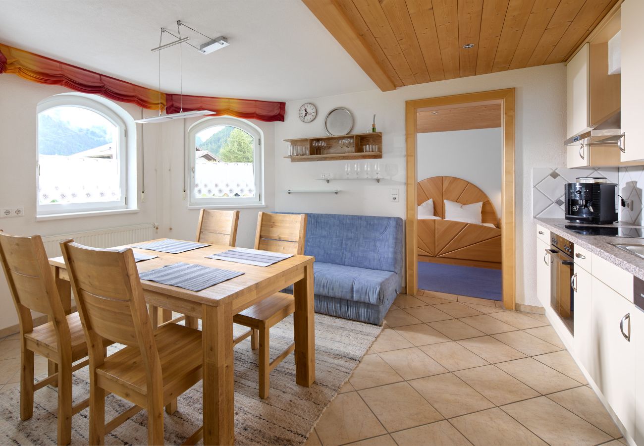 Appartement in St. Gallenkirch - Apartment Gerhard an der Talstation | 4911 Appartement in St. Gallenkirch - Apartment Gerhard an der Talstation | 4911