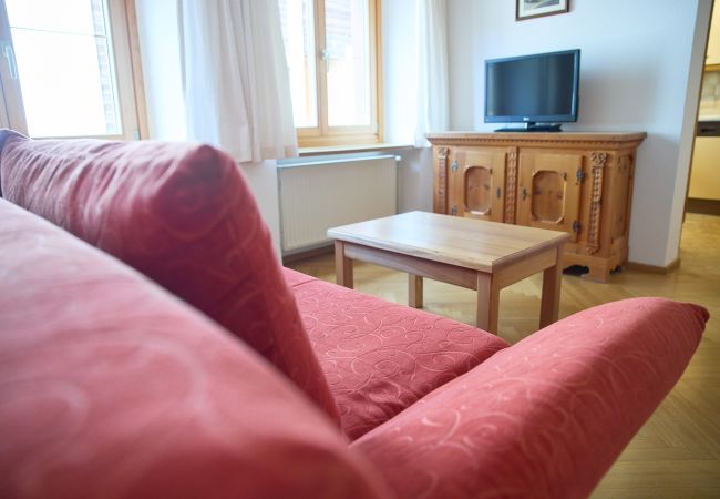 Appartement in Schruns - Litz Lounge App 1 |  3601 Appartement in Schruns - Litz Lounge App 1 |  3601