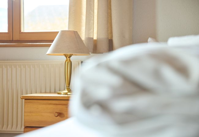 Appartement in Schruns - Litz Lounge App 2 |  3602 Appartement in Schruns - Litz Lounge App 2 |  3602