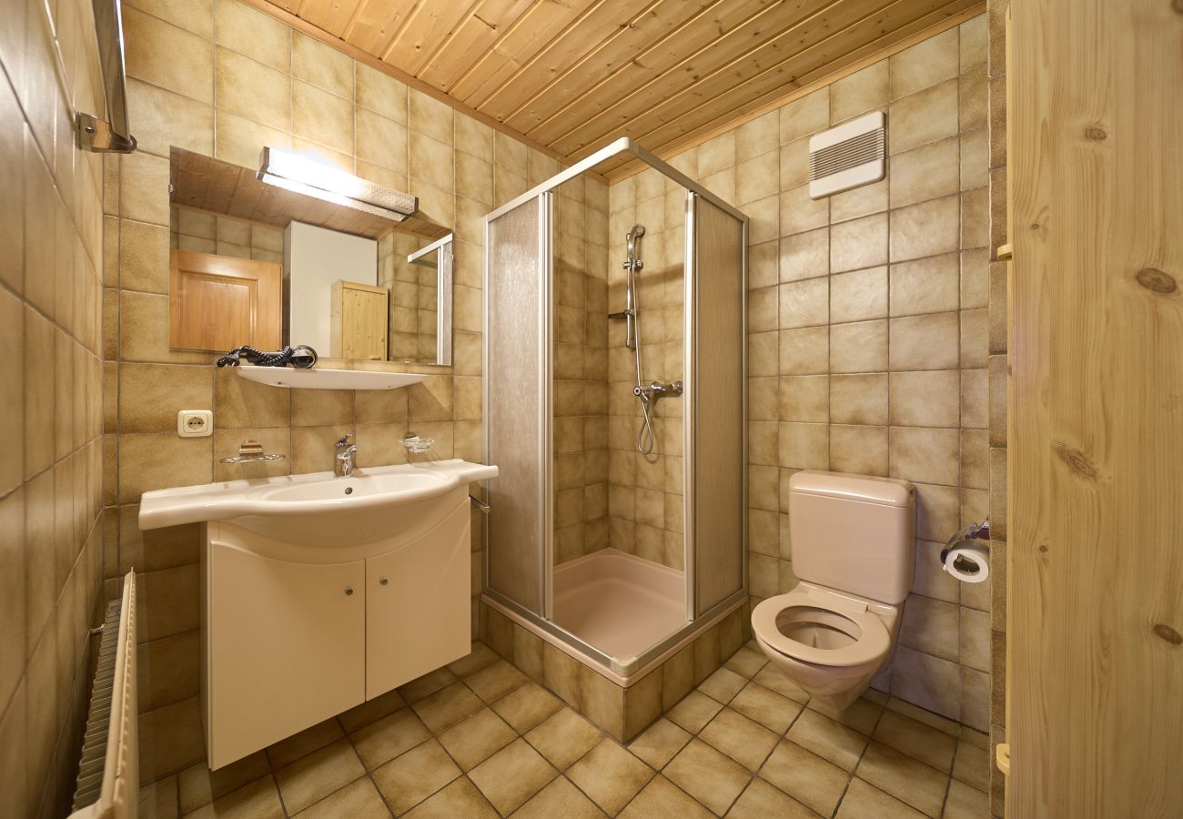 Appartement in Gaschurn - Alt Montafon Appartment 13 | 1313