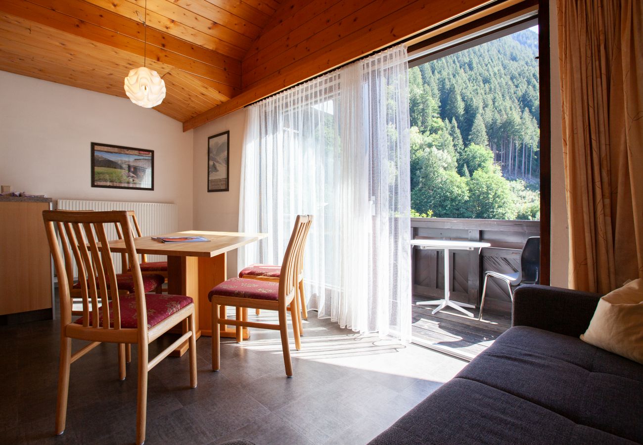 Apartment in Gaschurn - Edelweiss | 1108 Apartment in Gaschurn - Edelweiss | 1108