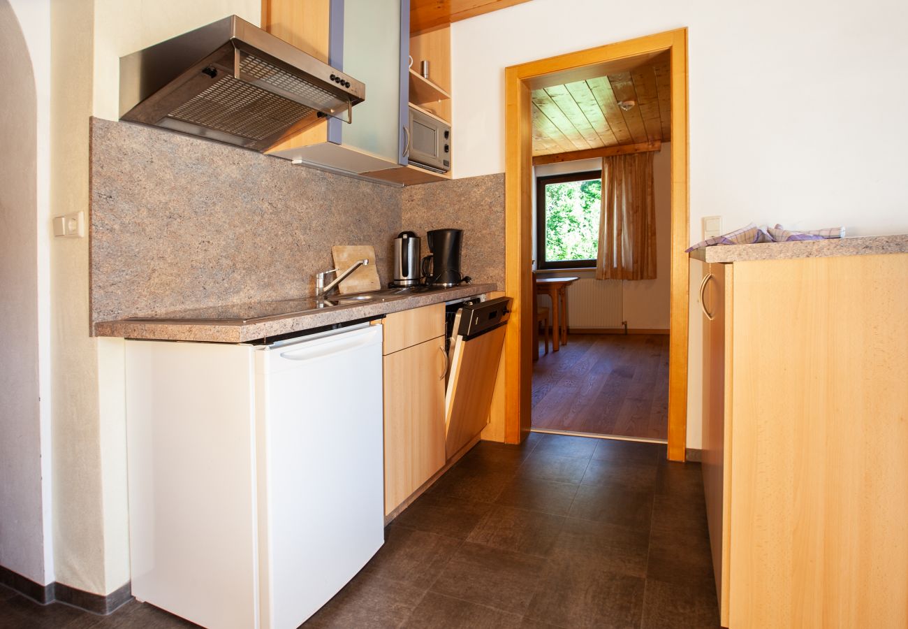 Apartment in Gaschurn - Edelweiss | 1108 Apartment in Gaschurn - Edelweiss | 1108