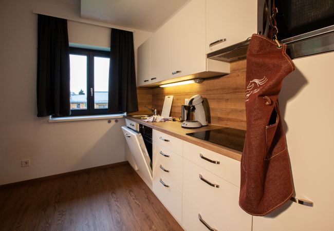 Apartment in St. Gallenkirch - Montan Chalet-Apartment with loggia and balcony |22OG | 46222 Apartment in St. Gallenkirch - Montan Chalet-Apartment with loggia and balcony |22OG | 46222