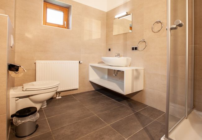 Chalet in St. Gallenkirch - Grand Nival Chalet  Chalet in St. Gallenkirch - Grand Nival Chalet