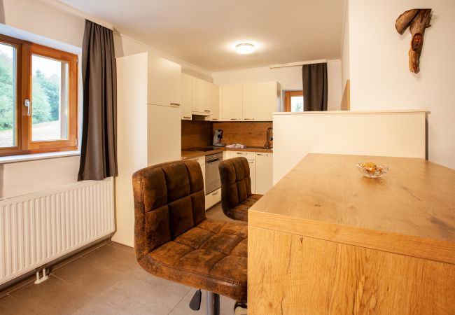 Chalet in St. Gallenkirch - Grand Nival Chalet  Chalet in St. Gallenkirch - Grand Nival Chalet