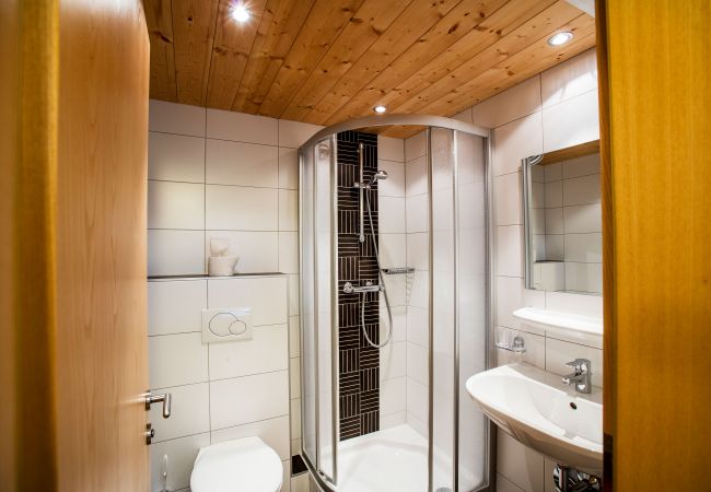Apartment in Gargellen - Doris in Alpenhaus Montafon 306 | 5306 Apartment in Gargellen - Doris in Alpenhaus Montafon 306 | 5306