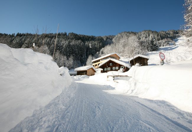 Studio in Gaschurn - Natali`s Studio 54 in Bonawinkel | 1154 Studio in Gaschurn - Natali`s Studio 54 in Bonawinkel | 1154