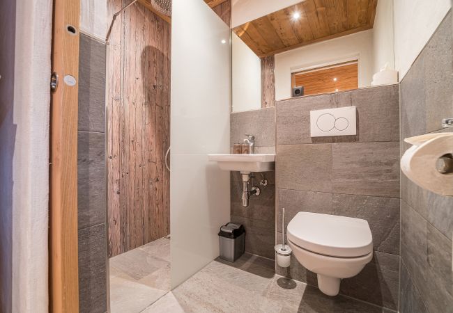 Apartment in Gaschurn - Piz Buin Apartment in Schima Drosa | 1214 Apartment in Gaschurn - Piz Buin Apartment in Schima Drosa | 1214