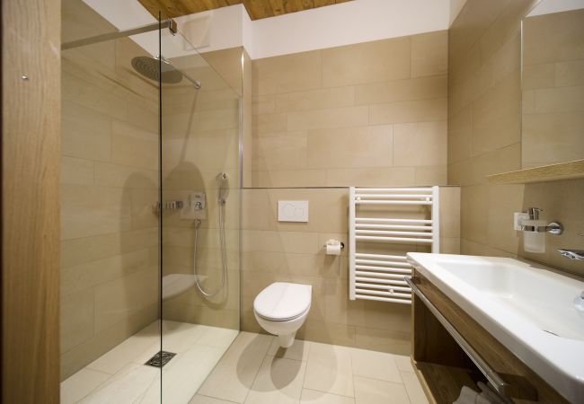 Apartment in Gargellen - Large Apartment with Sleeping Room and Livingroom for sleeping  Apartment in Gargellen - Large Apartment with Sleeping Room and Livingroom for sleeping