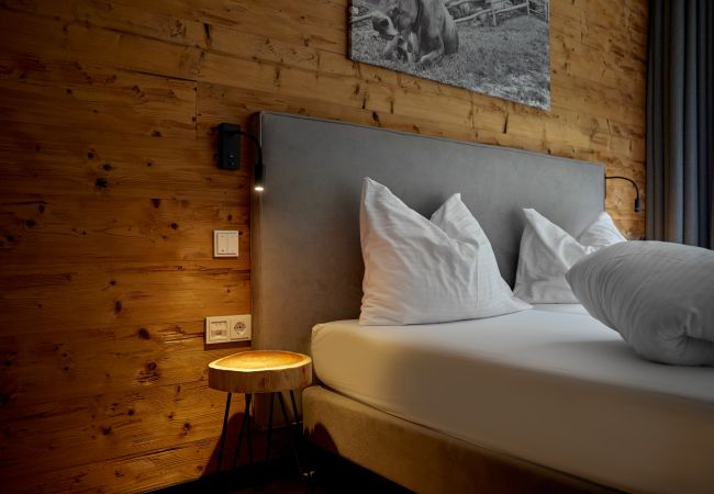 Apartment in Gargellen - Large Apartment with Sleeping Room and Livingroom for sleeping  Apartment in Gargellen - Large Apartment with Sleeping Room and Livingroom for sleeping