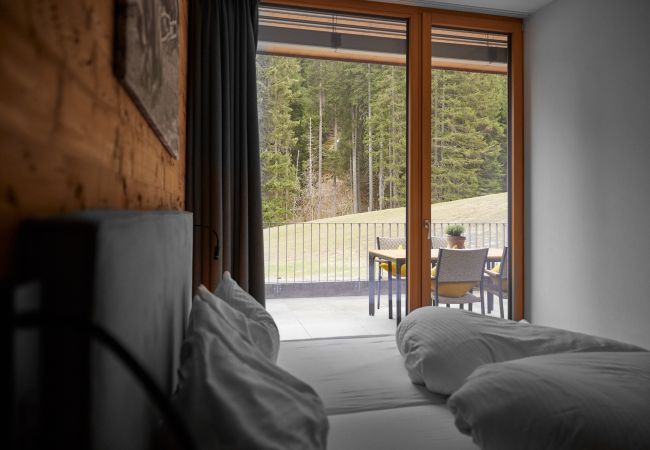 Apartment in Gargellen - Large Apartment with Sleeping Room and Livingroom for sleeping  Apartment in Gargellen - Large Apartment with Sleeping Room and Livingroom for sleeping