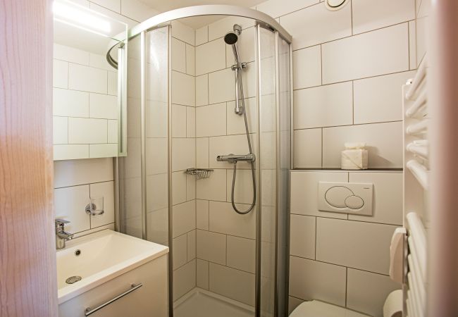 Ferienwohnung in Gargellen - Cornelia im Alpenhaus Montafon 205 | 5205 Ferienwohnung in Gargellen - Cornelia im Alpenhaus Montafon 205 | 5205