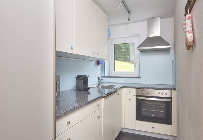 Ferienwohnung in Gargellen - Diane  Ferienwohnung in Gargellen - Diane