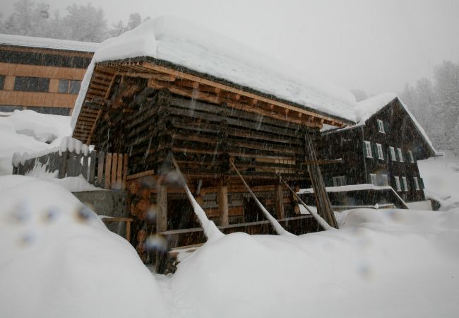 Studio in Gaschurn - Natali`s Studio 54 im Bonawinkel | 1154 Studio in Gaschurn - Natali`s Studio 54 im Bonawinkel | 1154