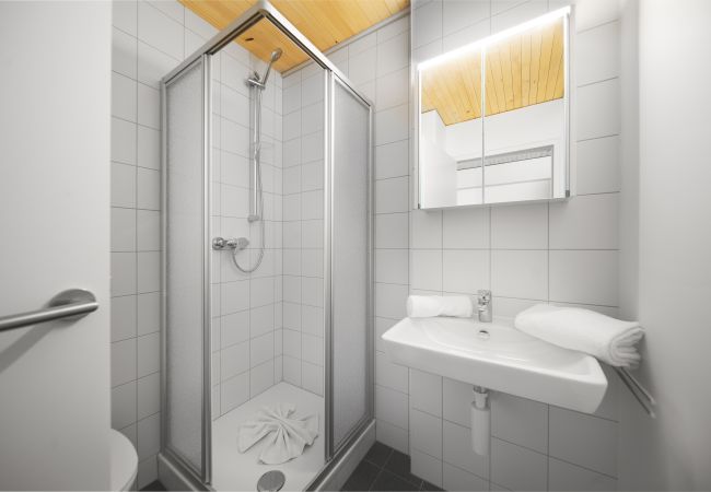 Studio in St. Gallenkirch - Valisera Studio im Silvretta Park | 4301 Studio in St. Gallenkirch - Valisera Studio im Silvretta Park | 4301