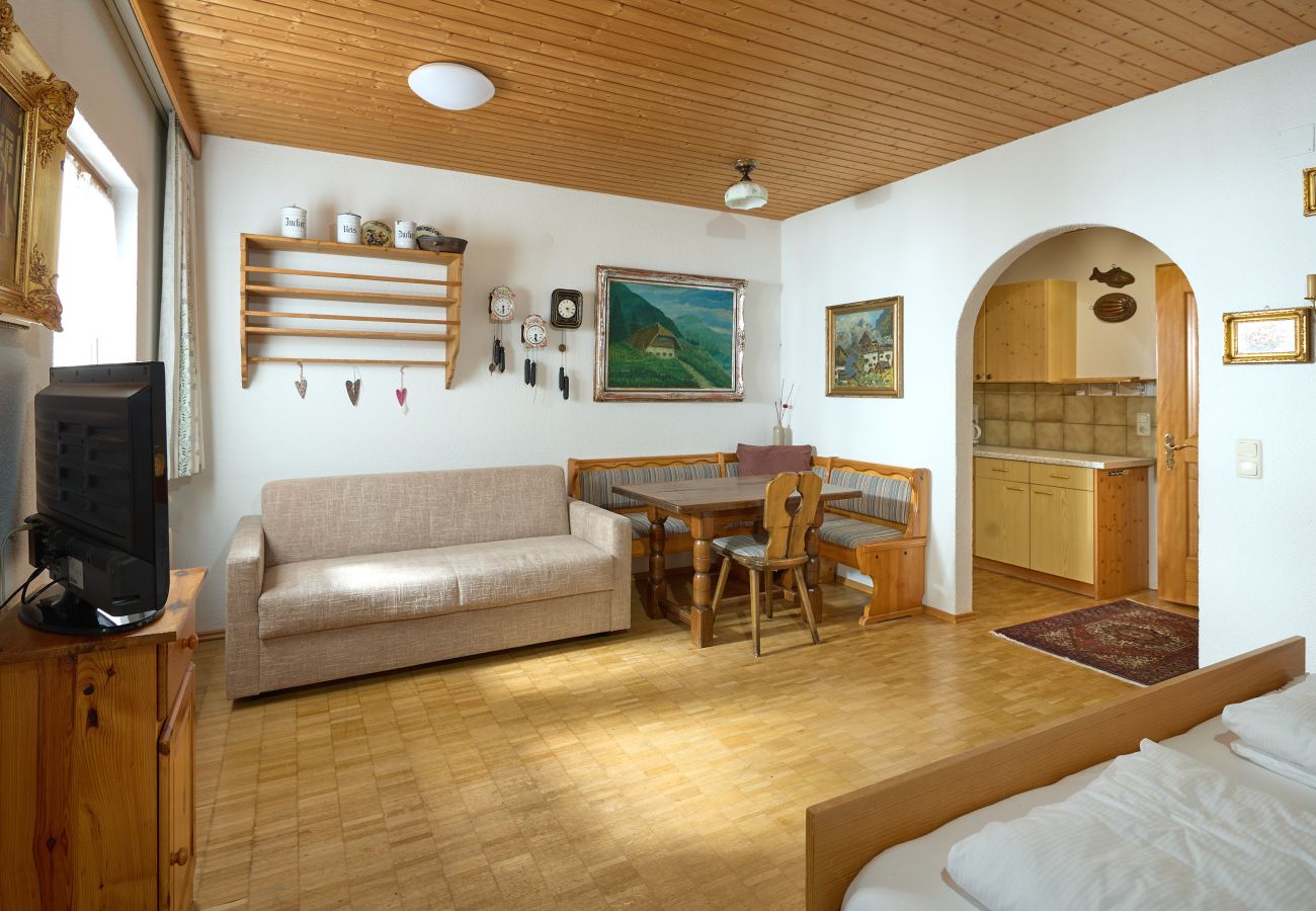 Studio in Gaschurn - Alt Montafon Appartment 14 | 1314