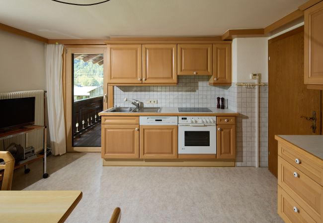  in St. Gallenkirch - 4010 Anni´s Appartment